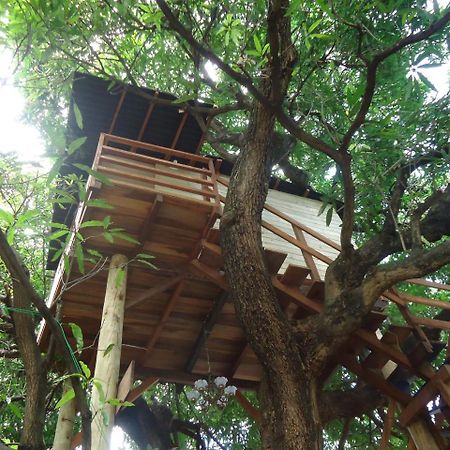 Casa Na Arvore Salvador da Bahia Exterior foto