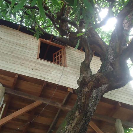 Casa Na Arvore Salvador da Bahia Exterior foto