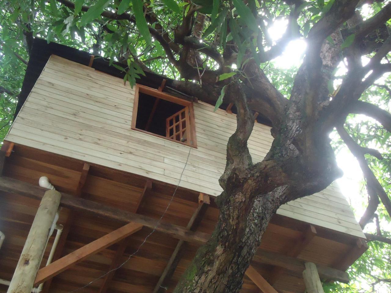 Casa Na Arvore Salvador da Bahia Exterior foto