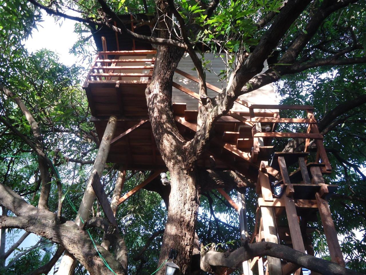 Casa Na Arvore Salvador da Bahia Exterior foto